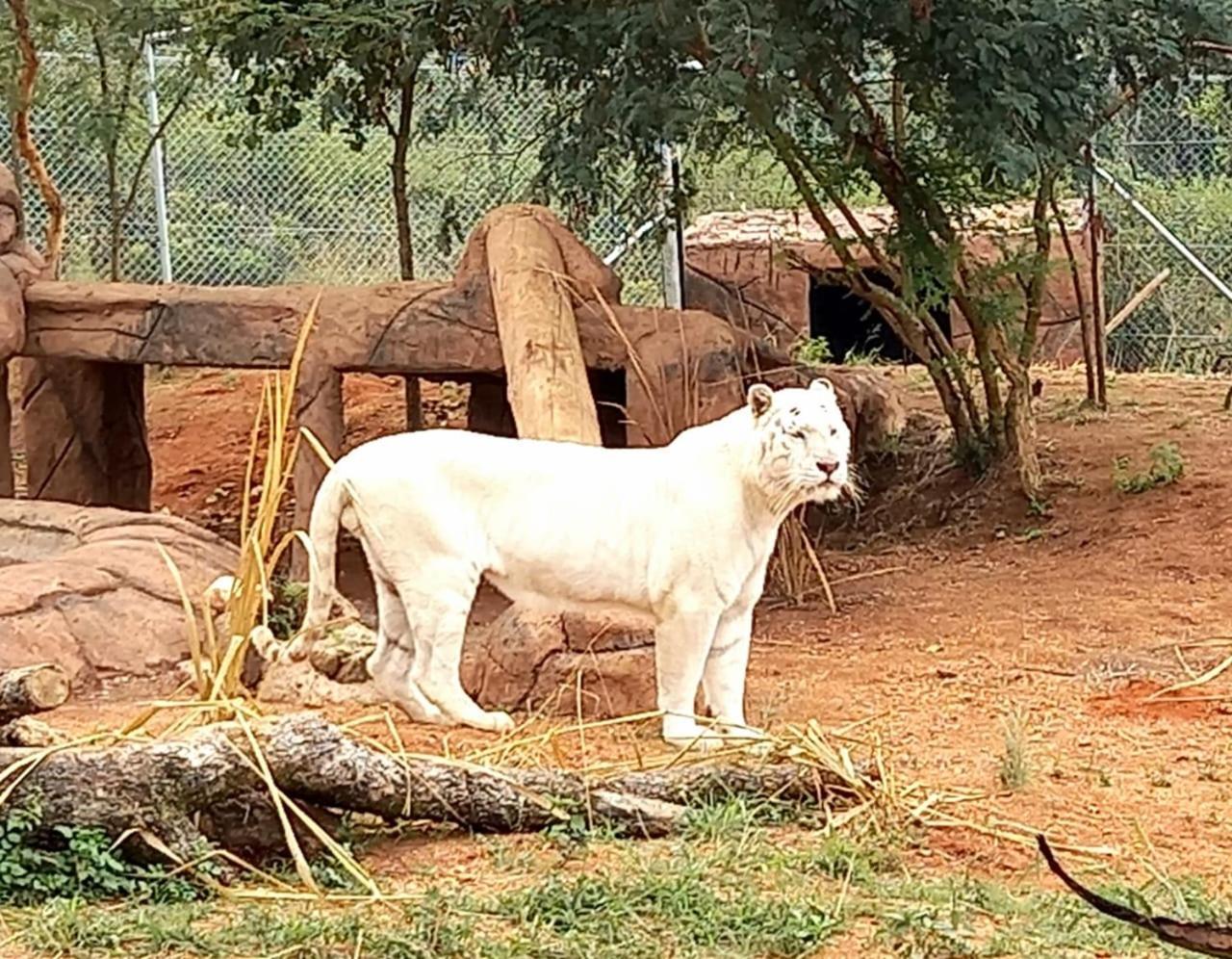 Pumbaa Wildlife Park & Accommodation Mbombela Exterior photo